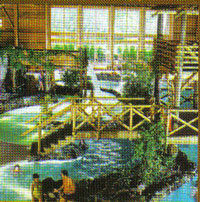 Davy Crockett Ranch at Disneyland Paris France