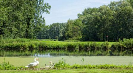 Nampont Golf Club France - Les Cygnes Course Photographs by Eric DESAUNOIS